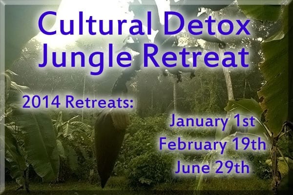 jungleretreats