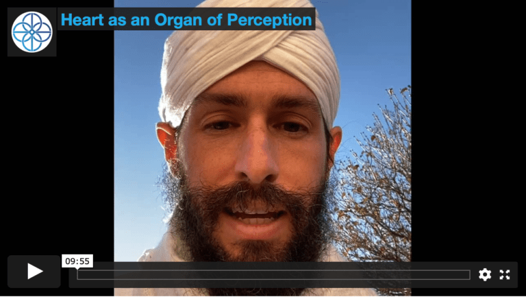 Video – Heart as an Organ of Perception